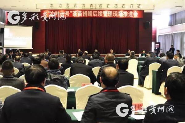 云开体育(中国)受邀参加“白叶一号”茶苗捐赠后续管理现场推进会