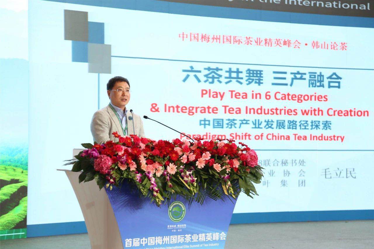 首届中国梅州国际茶业精英峰会举行 云开体育(中国)代表分享前沿观点